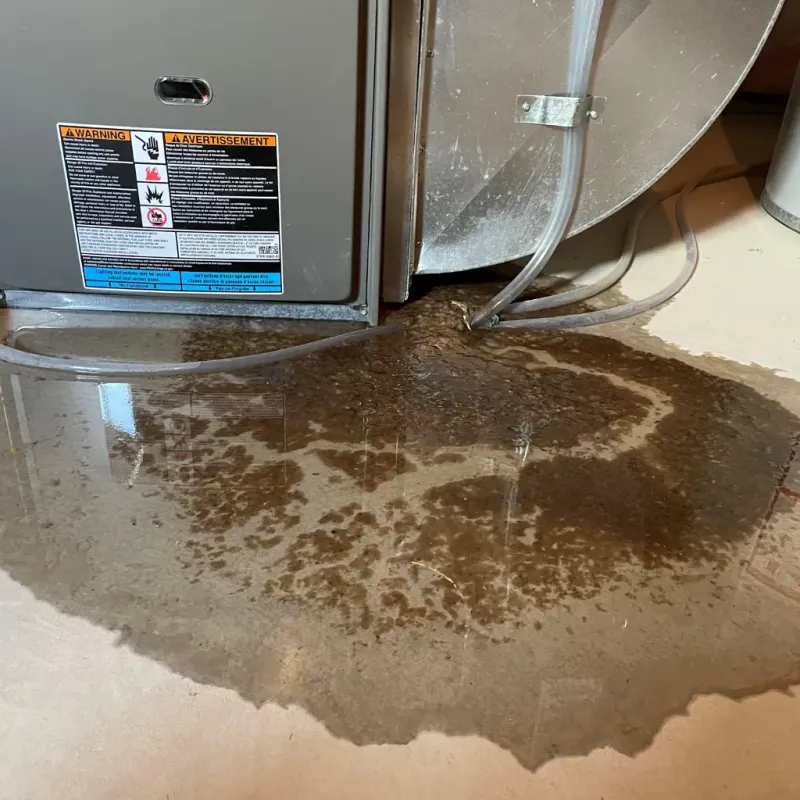 Appliance Leak Cleanup in Soperton, GA